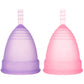 Lady Period Hygiene Reusable Soft Silicone Menstrual Cup Kit