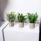 3Pcs Mini Potted Artificial Plastic Green Plants