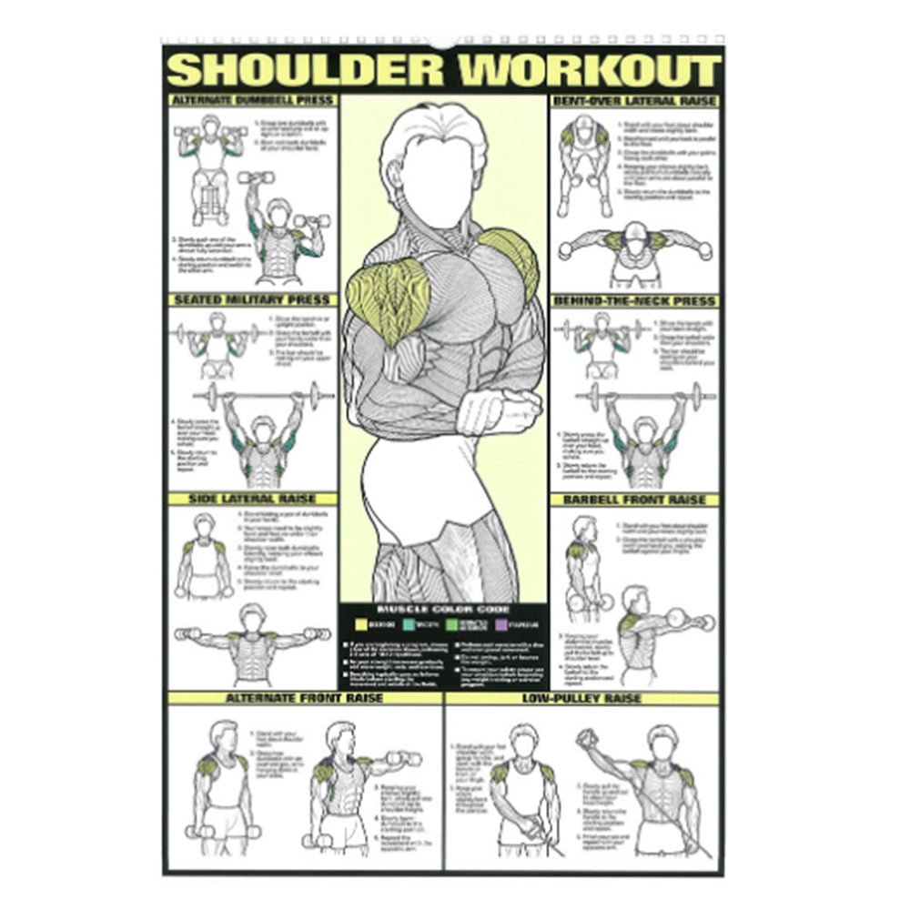 Gym Workout Muscle Poster