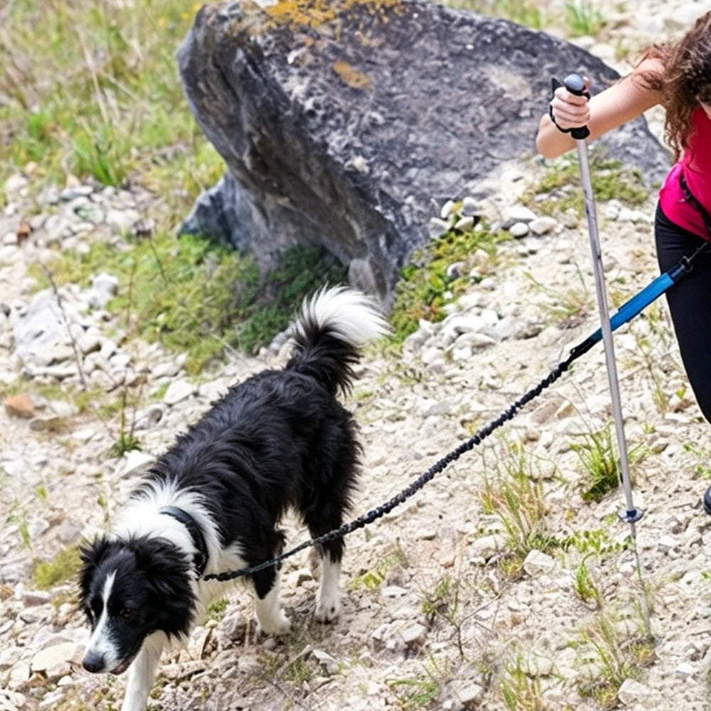 2 in 1 Hands Free Running Dog Leash for Walking Jogging