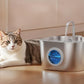 Automatic Pet Water Fountain USB 2.2L Stainless Steel for Cats and Small Animals