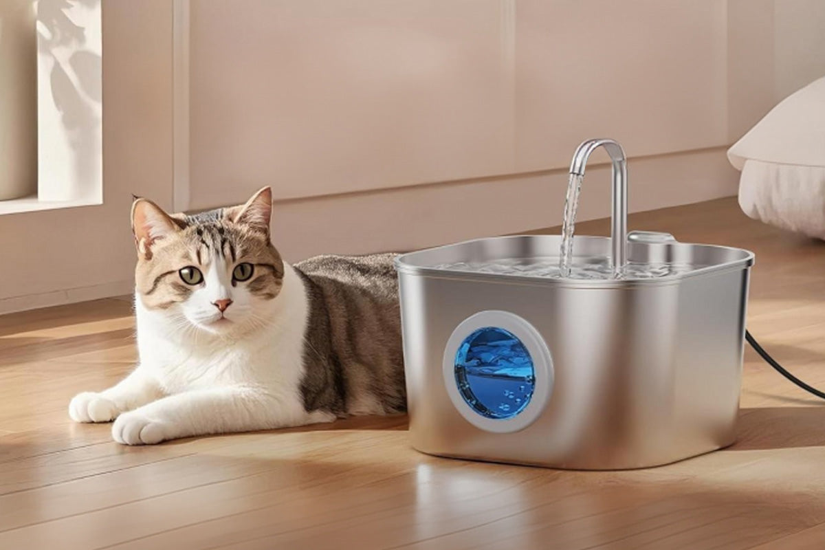 Automatic Pet Water Fountain USB 2.2L Stainless Steel for Cats and Small Animals