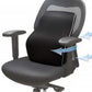 Ergonomic Lumbar Back Support Cushion Memory Foam Backrest with Adjustable Strap