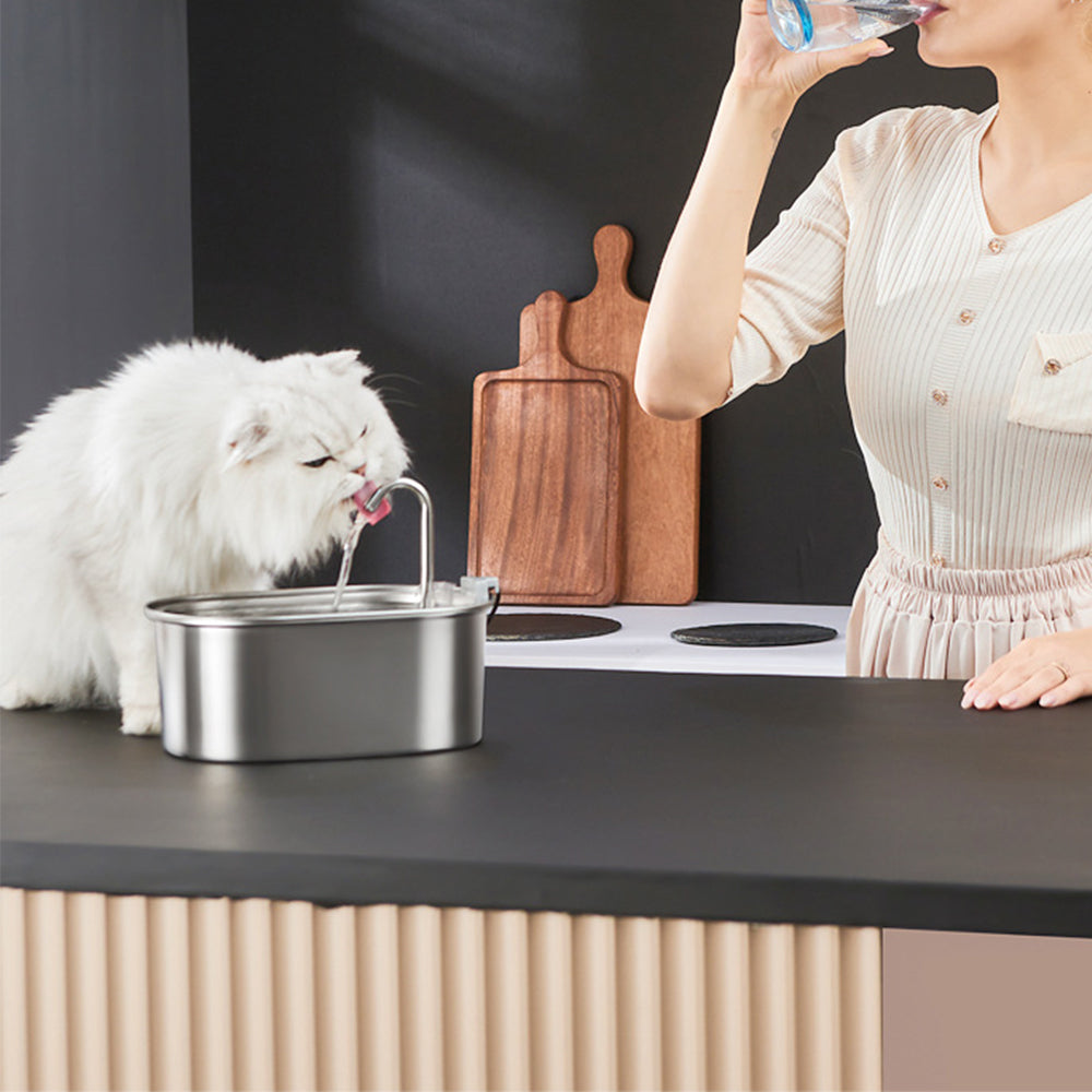 Electric Pet Water Dispenser Cat Dog Fountain 3L Drinking Automatic Sensor