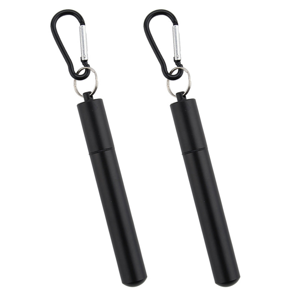 2 Pack Collapsible Stainless Steel Travel Straws with Keychain Cases