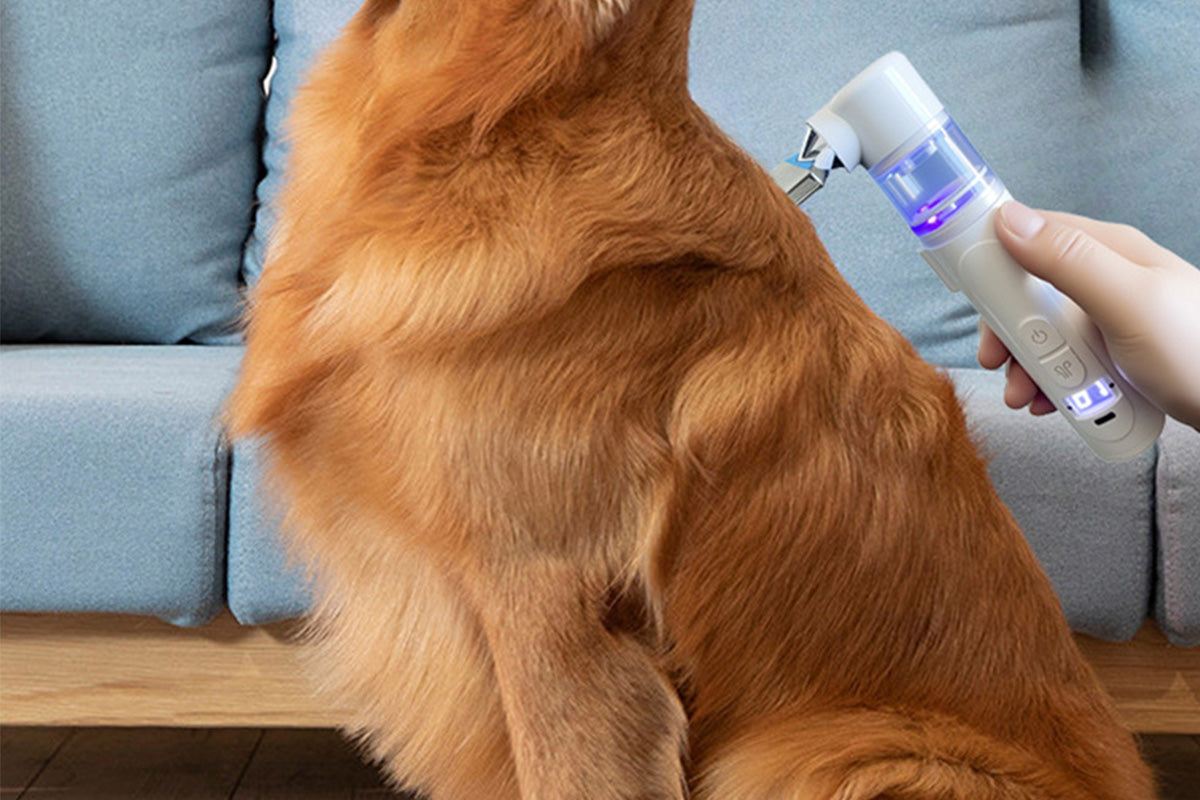 2-in-1 Electric Cordless Pet Flea Comb Grooming Vacuum