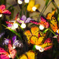 Solar Butterfly Garden Lights with 12 Stems for Outdoor Decor – IP65 Waterproof, Vibrant Illumination