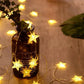 20 LED Star String Lights 3m Fairy Christmas Lights Battery Operated for Party