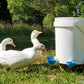 5Pcs Automatic Chicken Drinking Bowl Feeder