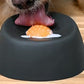 Slow Feeder Dog Bowls With Rolling Ball For Liquid Treat Training Snack Bowl