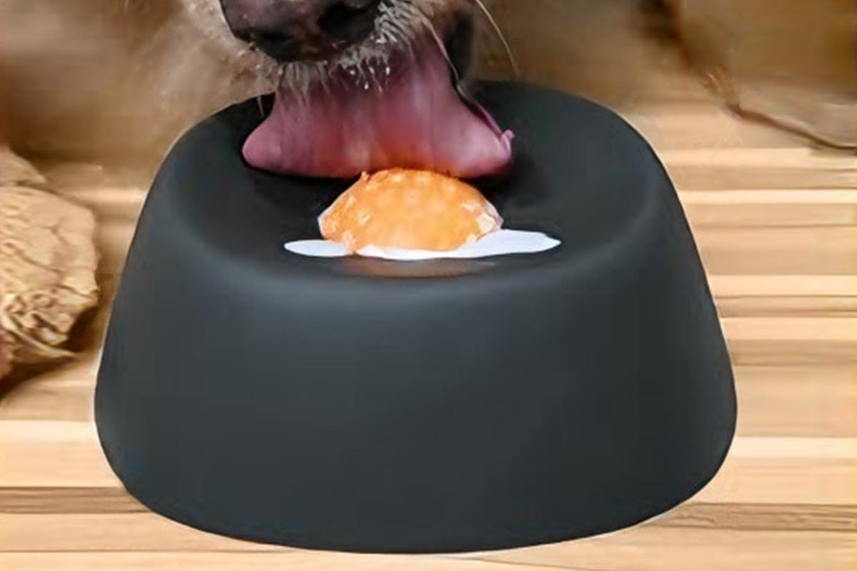 Slow Feeder Dog Bowls With Rolling Ball For Liquid Treat Training Snack Bowl