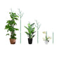 5Pcs Detachable Twig Plant Support Stakes