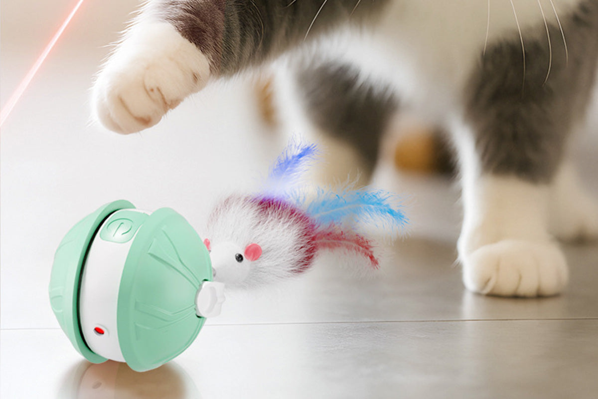 Interactive Dog Toys Electric Automatic Smart Pet Toys Rolling Ball Toys For Small Dogs
