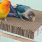 Parrot Toys Bird Perch Stand Cardboard Anti-bite Hair Grinding Pad Bird Cage Accessories