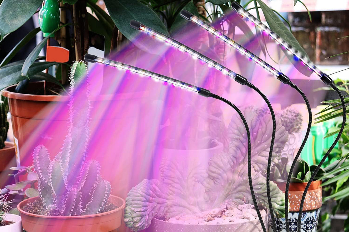 Grow Light for Indoor Plants with 9 Dimmable Levels Red Blue Spectrum Plant Light