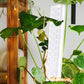 Moss Pole Plant Extension Support Tall Plant Sticks Support for Climbing Plants