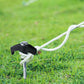 20PCS Galvanized Steel Camping Tent Pegs In Ground Stakes For Camping Hiking