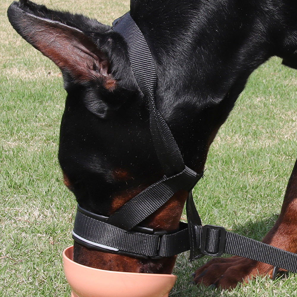 Adjustable Dog Head Collar with Padded Nose Loop for Training