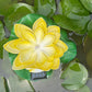 Solar Floating Lotus Light Solar Powered Floating Flower Light