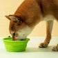 2 Pack Foldable Collapsible Dog Cat Pet Bowl