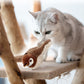 Rechargeable Squeaky Cat Toys Touch Activated Kitten Plush Flapping Toys