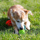 3Pcs Slow Feeder Chew Ball Toy for Puppy Pet