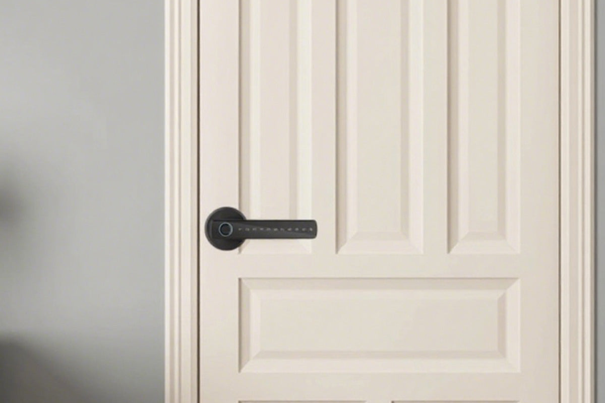 5 in 1 Smart Door Lock Fingerprint Door Knob with IC Cards and Backup Keys