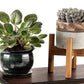 Adjustable Bamboo Plant Stand Holder Indoor for Stable Plant Display