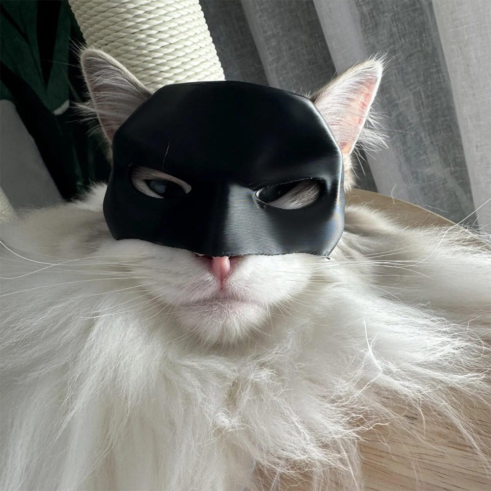 Bat Cat Avenger Mask Cute Cat Bat Mask Cosplay Hat