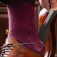 2 Pcs Metal Long Handle Shoe Horn Set for Men and Women