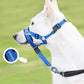 Adjustable Dog Head Halter Collar for Long-Snout Dogs