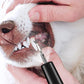 Ultrasonic Pet Plaque Remover for Dogs and Cats Electric Teeth Cleaner
