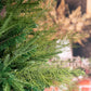 50Pcs Artificial Green Pine Needles Branches Plastic Pine Twigs Stems Picks