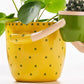 2-In-1 Resin Flower Pot with Drainage Hole