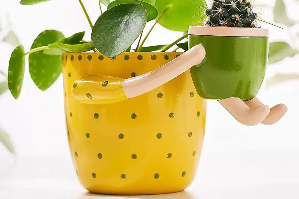 2-In-1 Resin Flower Pot with Drainage Hole