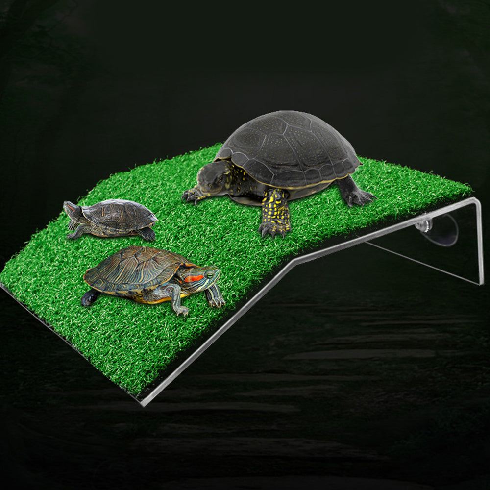 Cora Turtle Basking Platform Ramp Reptile Resting Terrace Simulation