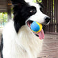 4Pcs 6.5CM Pet Interactive Playing Toy High Bouncy Vibrant Color Squeaky Rubber Balls