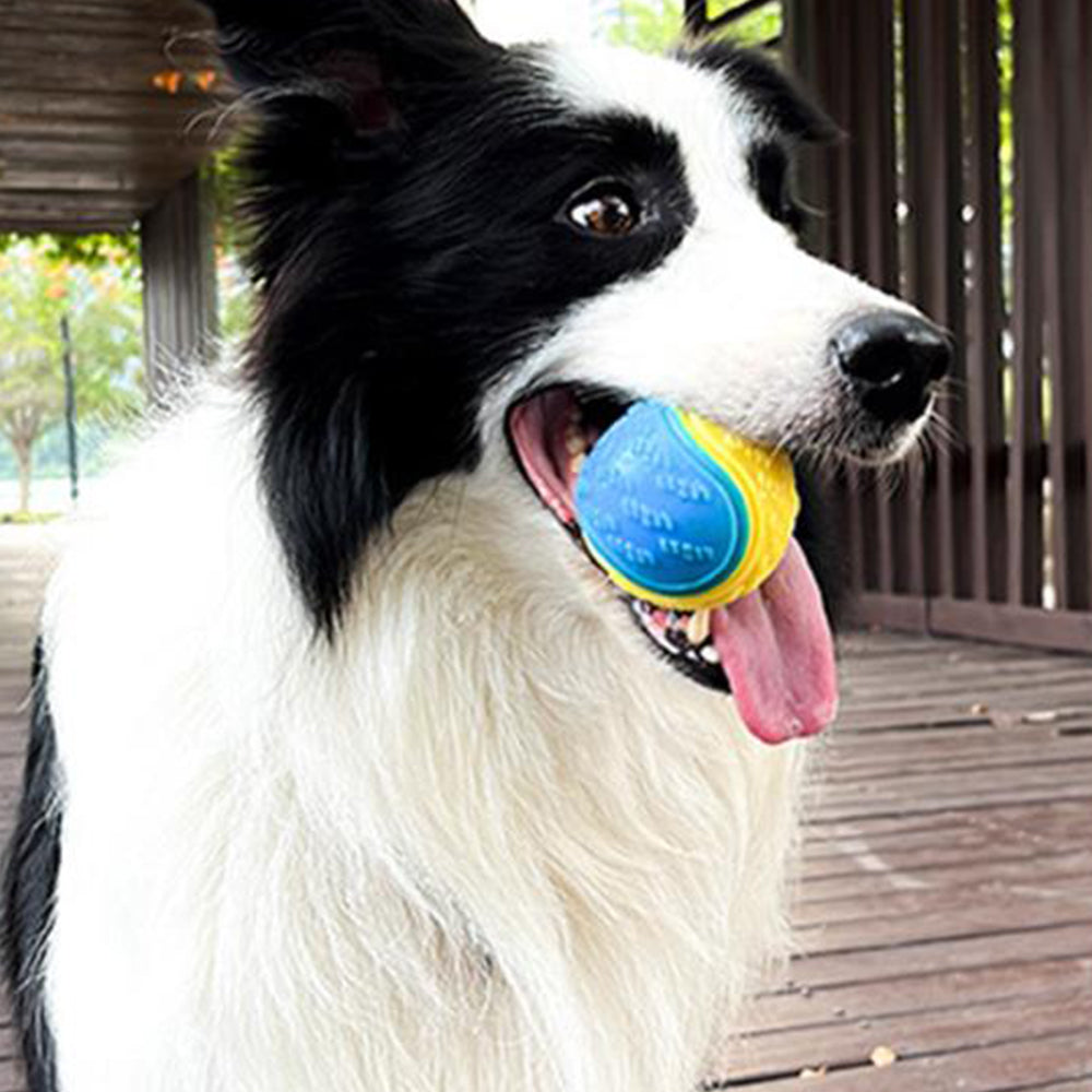 4Pcs 6.5CM Pet Interactive Playing Toy High Bouncy Vibrant Color Squeaky Rubber Balls