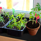 120x100cm Plants Black Capillaries Mat Self Watering System 3mm Thick