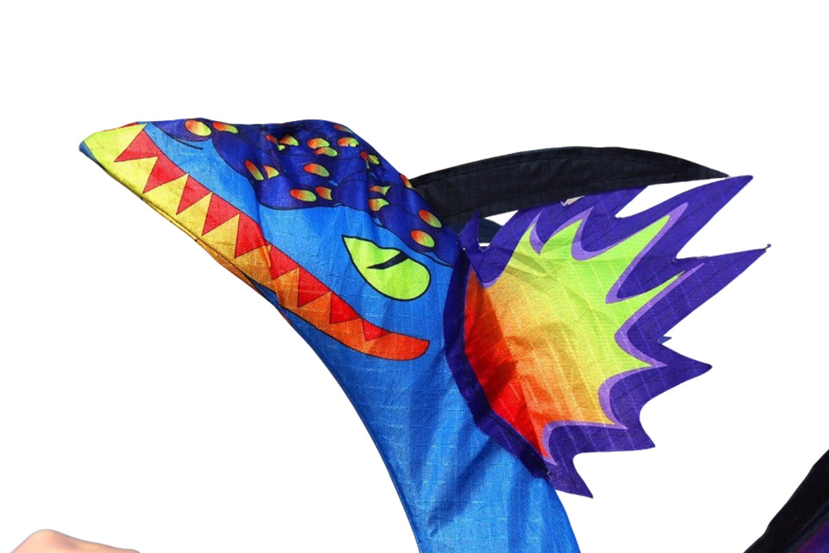 Outdoor Colorful 3D Dragon Flying Kite with 100m Tail Line 1.4m