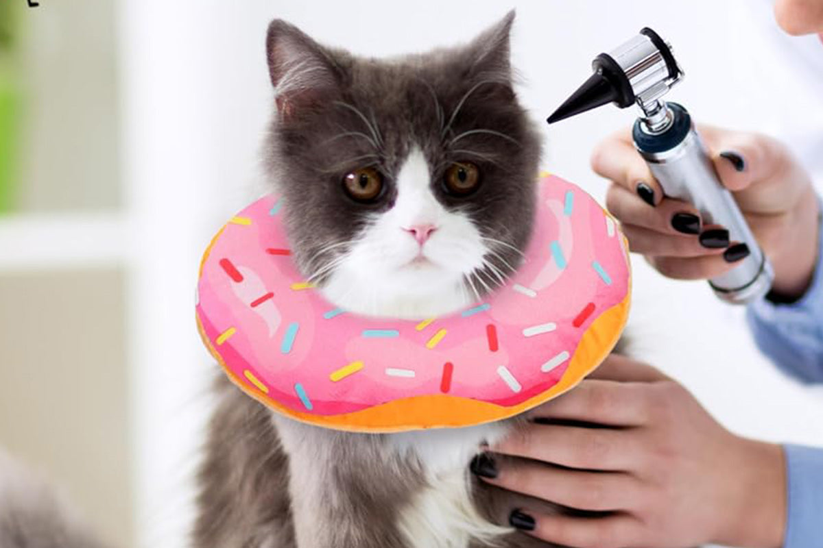 Cat Cone Soft Collar Adjustable Kitten Recovery Cones Cat Donut Collar-Pink