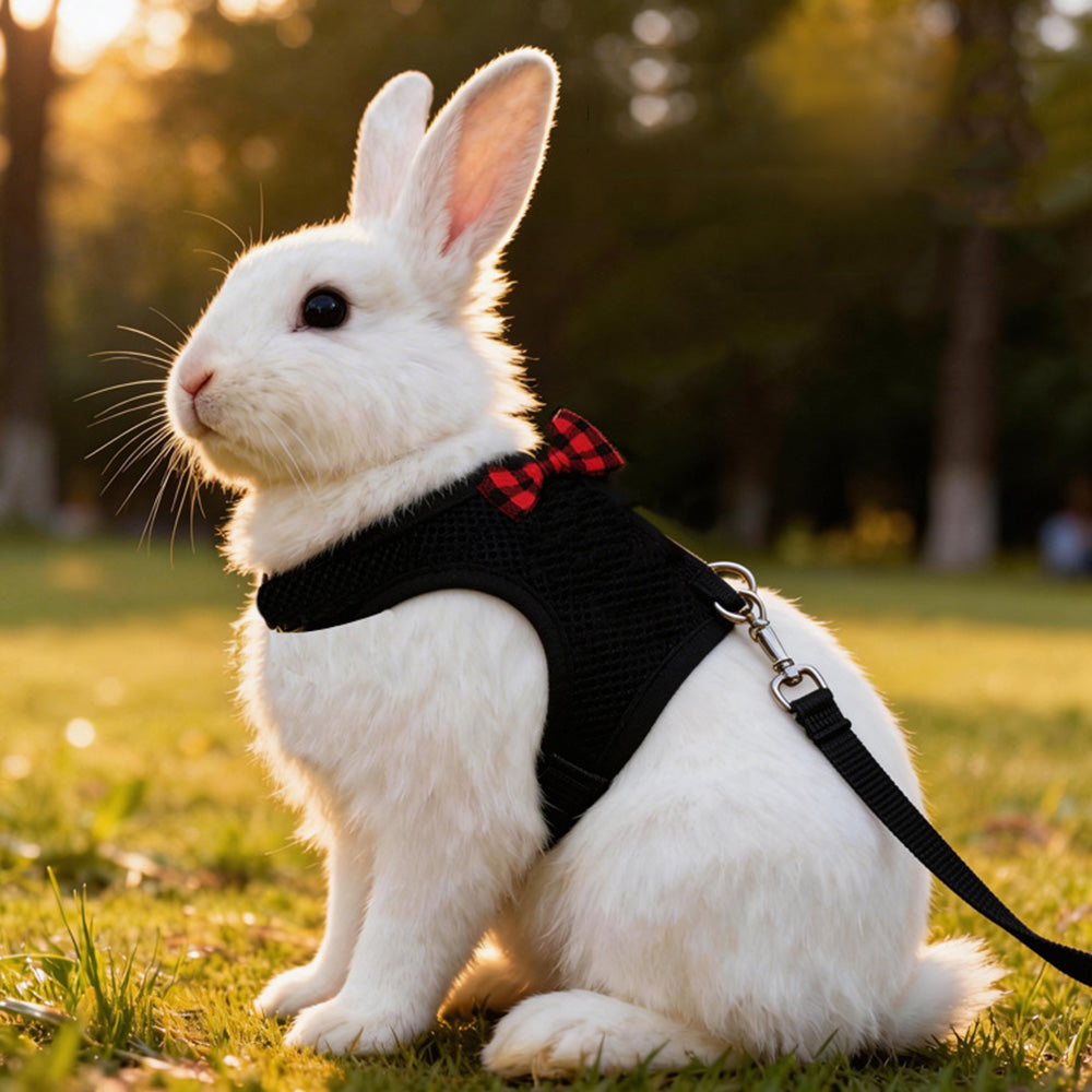 Rabbit Harness and Leash Set Adjustable Breathable Mesh Vest for Bunny Small Pets-Black
