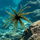 2 PCS Lifelike Floating Sea Urchin Soft Bait with Glitter Tentacle Creature Lure for Fishing