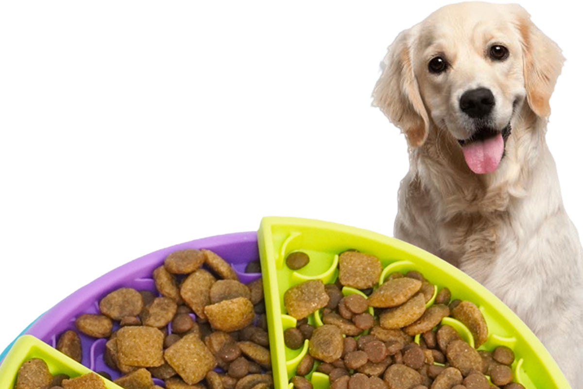 Three-Color Rotating Slow Feeder Bowl Interactive Dog Feeder for Medium and Large Dogs