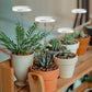 2Pcs Adjustable Full Spectrum LED Plant Grow Light Dimmable Indoor Halo Grow Lamp