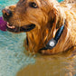 For Apple AirTag  Dog Collar Holder Water-resistant Airtag Case