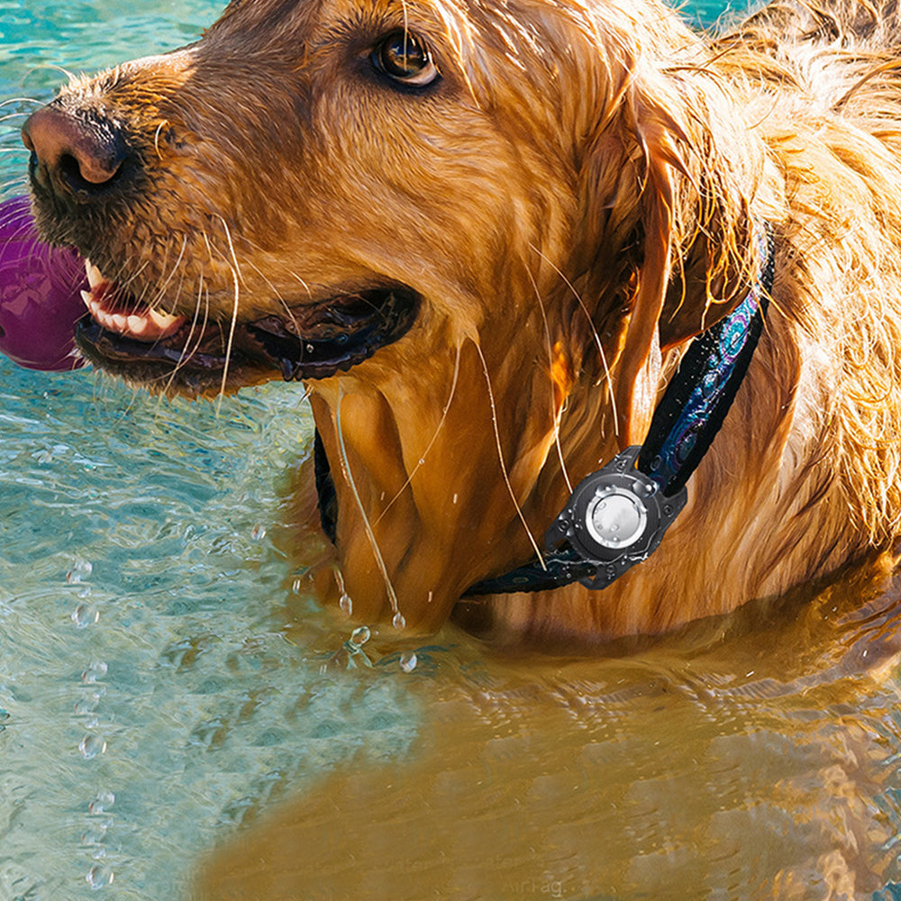 For Apple AirTag  Dog Collar Holder Water-resistant Airtag Case