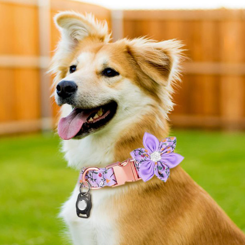 For Apple AirTag  Dog Collar Holder Water-resistant Airtag Case
