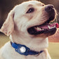 For Apple AirTag  Dog Collar Holder Water-resistant Airtag Case