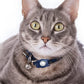 For Apple AirTag  Dog Collar Holder Water-resistant Airtag Case